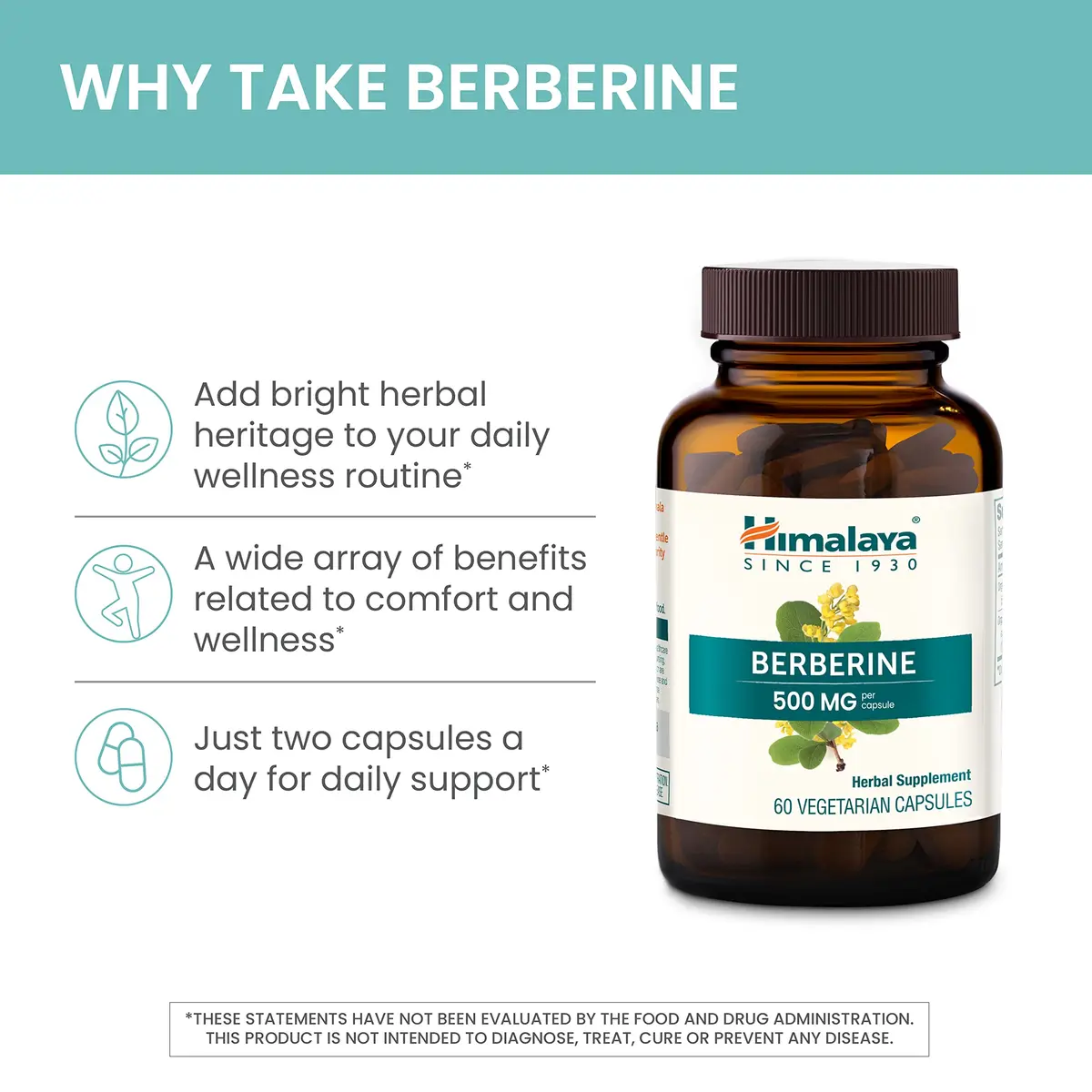 Himalaya Berberine Supplement 1000 mg | Supports Immunity & Metabolism, Vegan, 2 Pack - view 4
