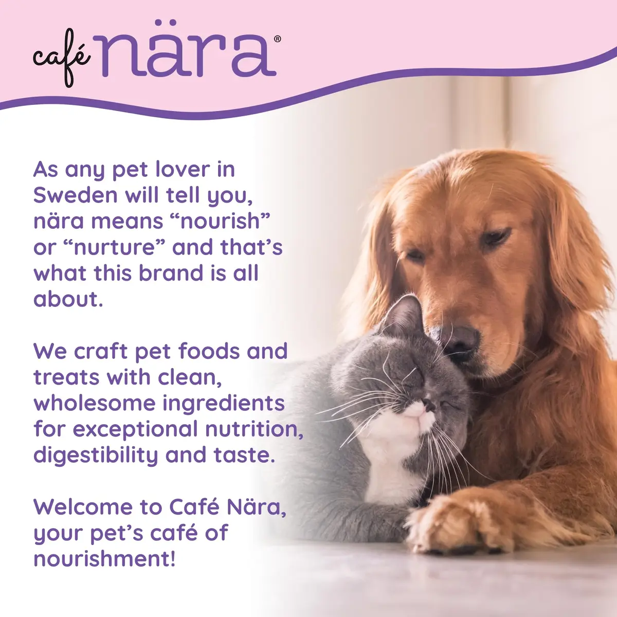 Cafe Nara Goat Liver Air Dried Treats for Dogs 3.5 oz | High-Protein, All-Natural, Grain-Free - view 2