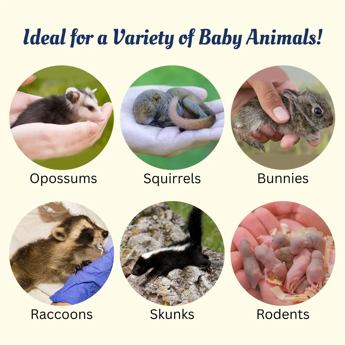 Exotic Nutrition ZooPro Milk Replacer 32/40 Formula for Baby Squirrels 449g (1 lb) | USA-Imported, Nutrient-Rich Formula - view 5