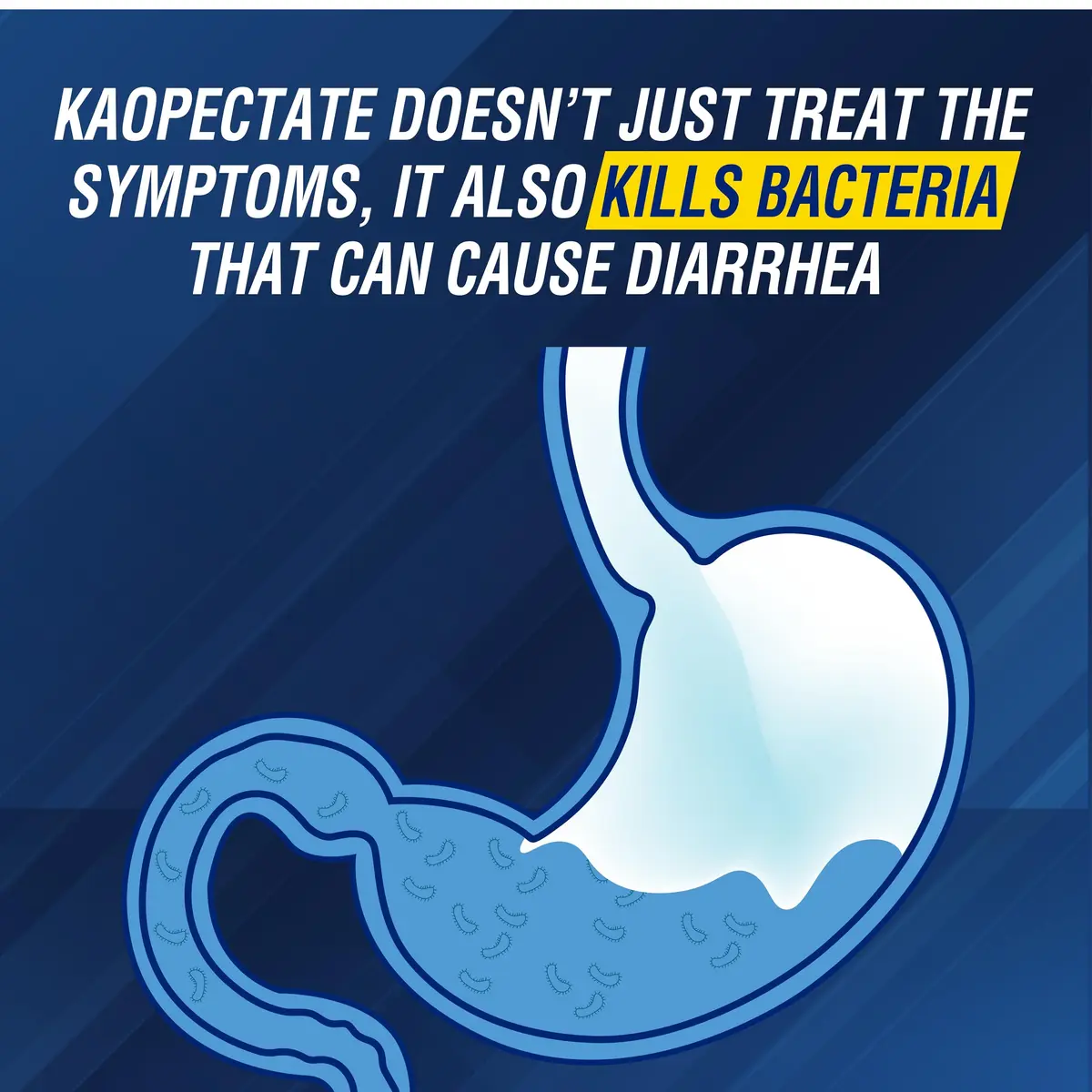 Kaopectate Extra Strength Diarrhea Relief Liquid 8oz (2 Pack) Peppermint Formula for Fast Digestive Support - view 7
