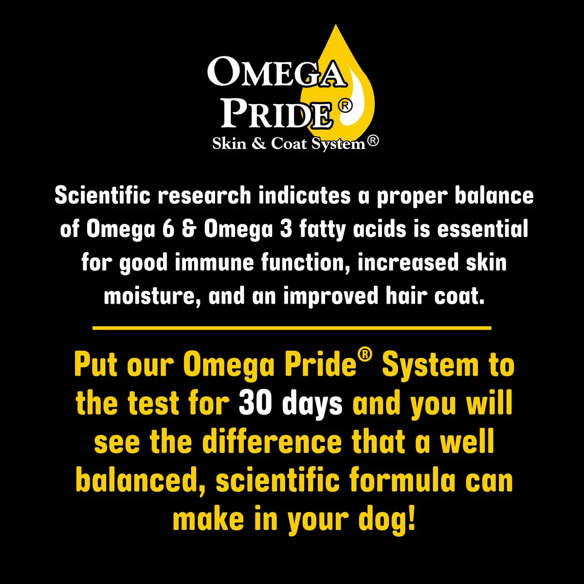 Sportsman's Pride Salmon Sensitive Skin & Coat Dog Food 30 lb | Poultry-Free Formula for Skin & Coat Sensitivities - view 5