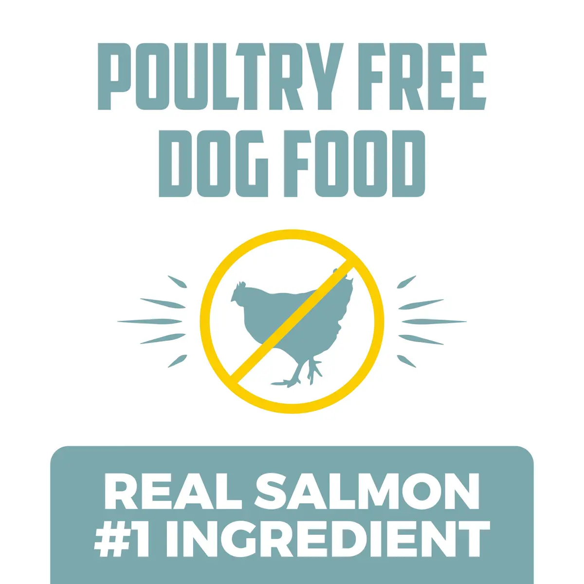 Sportsman's Pride Salmon Sensitive Skin & Coat Dog Food 30 lb | Poultry-Free Formula for Skin & Coat Sensitivities - view 8