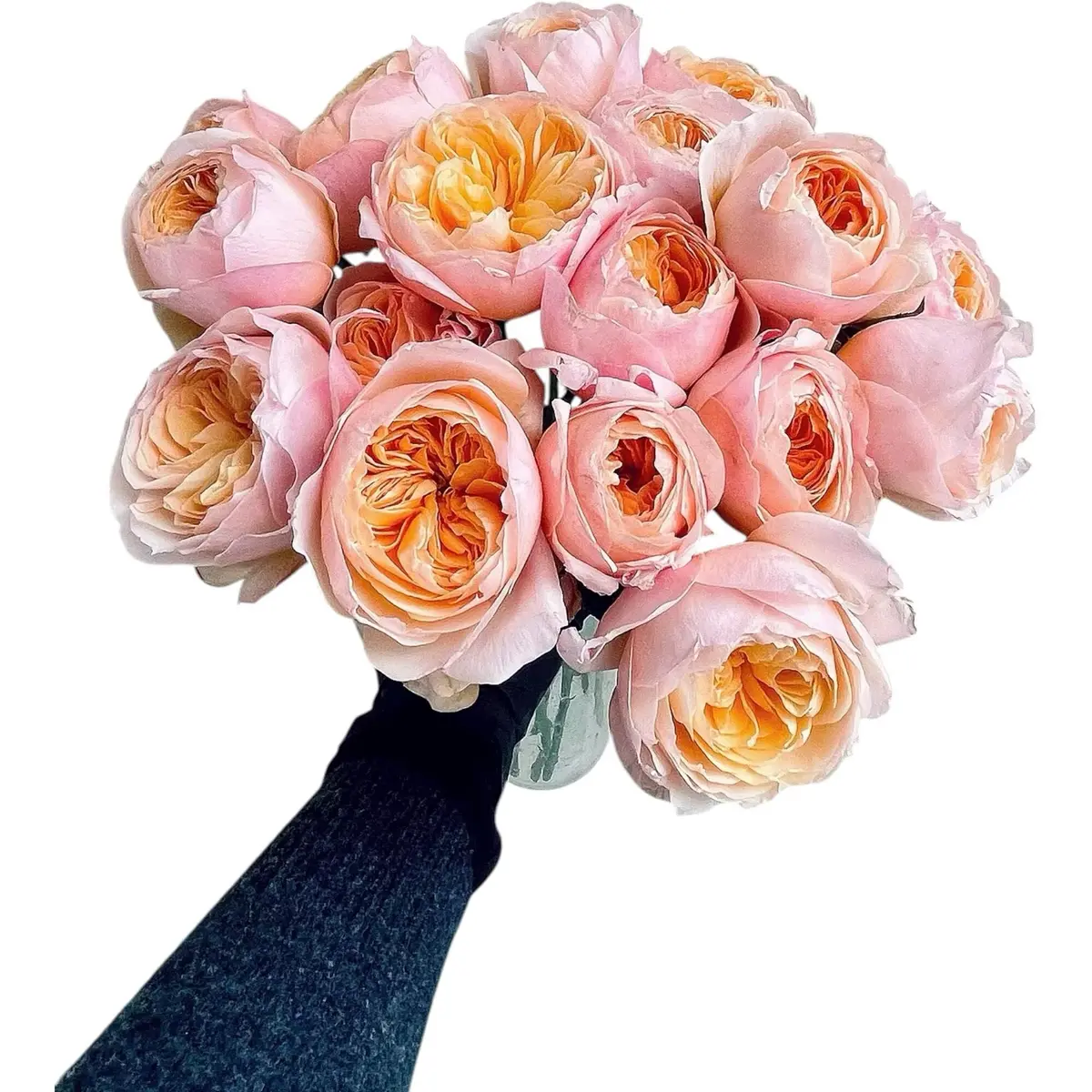 Cassiolina Fresh Cut Juliet Garden Roses Bouquet 24 | Peach Orange Large Blooms - view 4