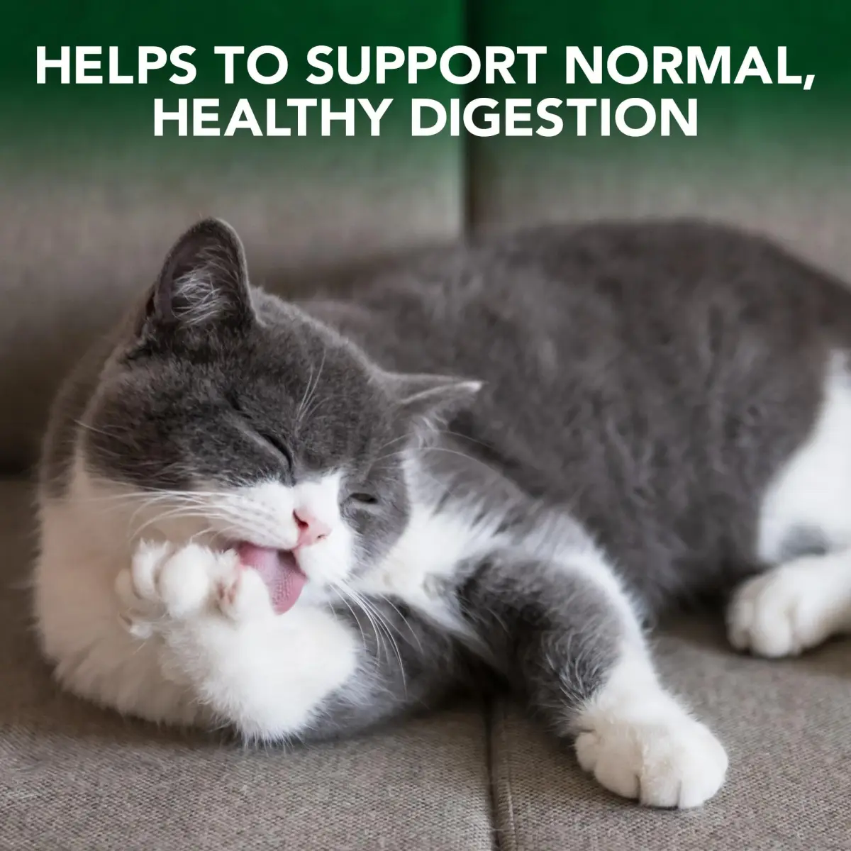 Vet's Best Cat Hairball Relief Digestive Aid Chewable Tablets 720 Count (Pack of 12) | Vet Formulated Hairball Support Remedy - view 3