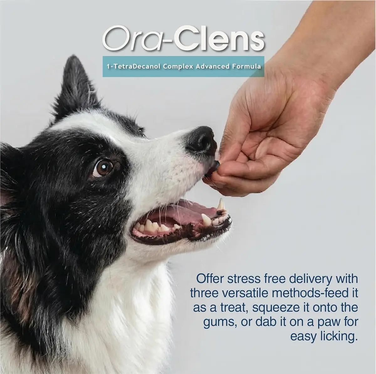 Ora-Clens 1-TDC Softgels for Dog & Cat | Oral & Joint Support, 60 Count - view 6
