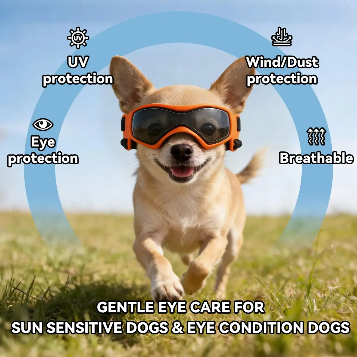 PETLESO XS Dog Goggles Chihuahua Glasses 3.74 in (9.5 cm) | Anti-UV Eye Protection for Tiny Dogs & Cats - view 4