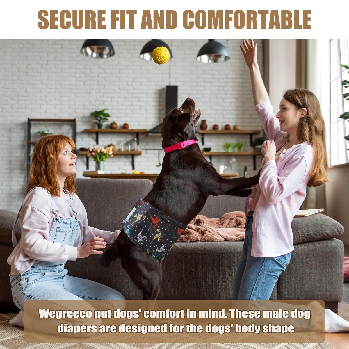wegreeco Washable Male Dog Belly Band (Stylish Pattern) - Pack of 3 - Dog Diapers Male - Washable Male Dog Belly Wrap (Dinosaur Fossils, Medium) - view 6