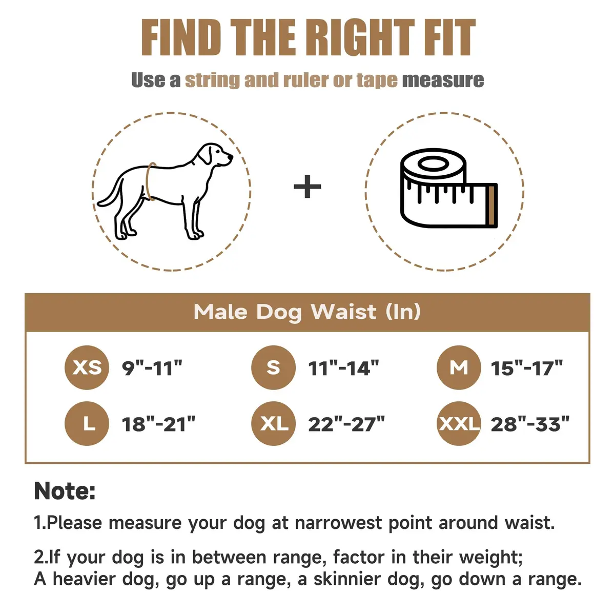 wegreeco Washable Male Dog Belly Band (Stylish Pattern) - Pack of 3 - Dog Diapers Male - Washable Male Dog Belly Wrap (Dinosaur Fossils, Medium) - view 3