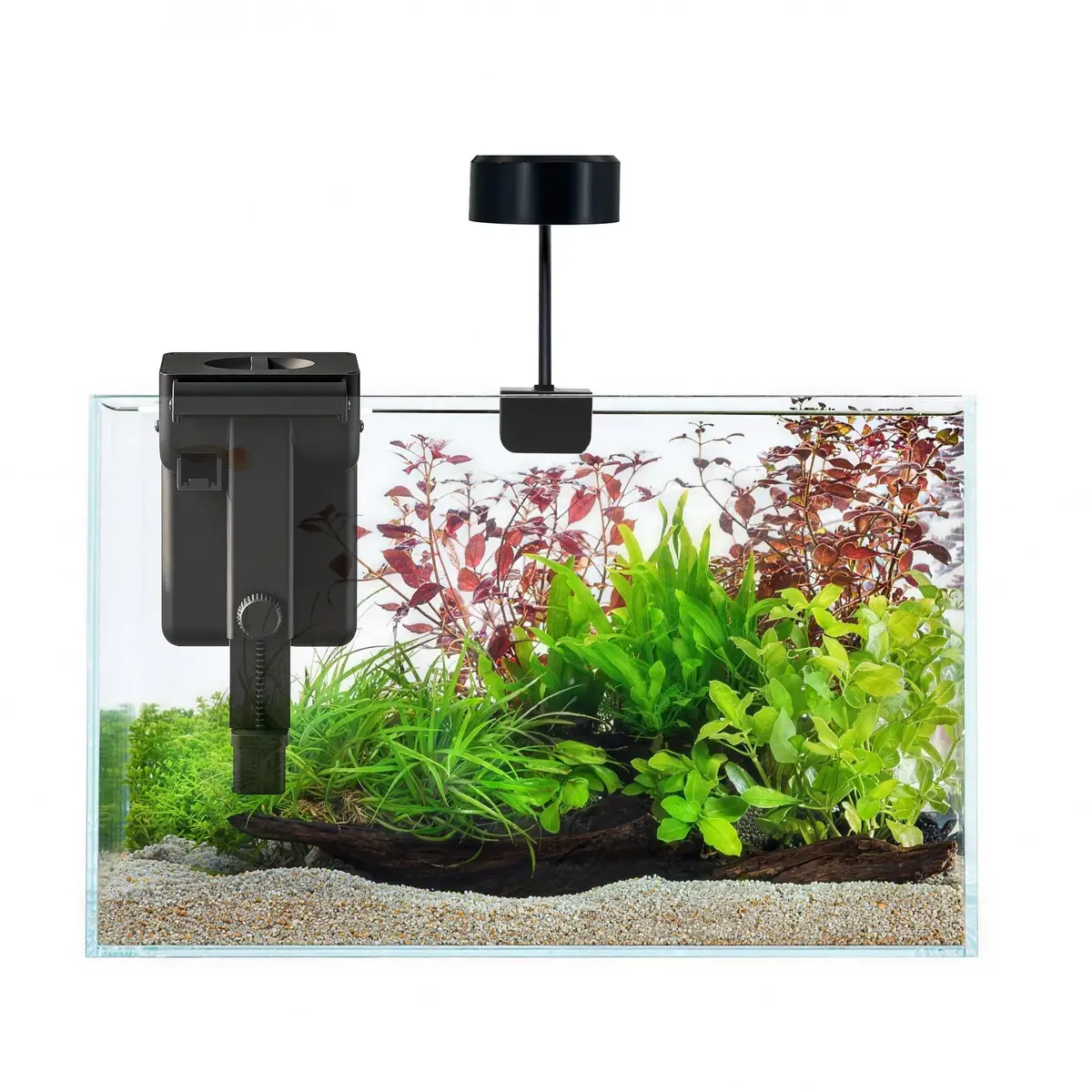 Craftsboys Fish Tank Starter Kit 6 Gallons | Ultra-Clear Glass Aquarium with Filter & LED Light - main product image