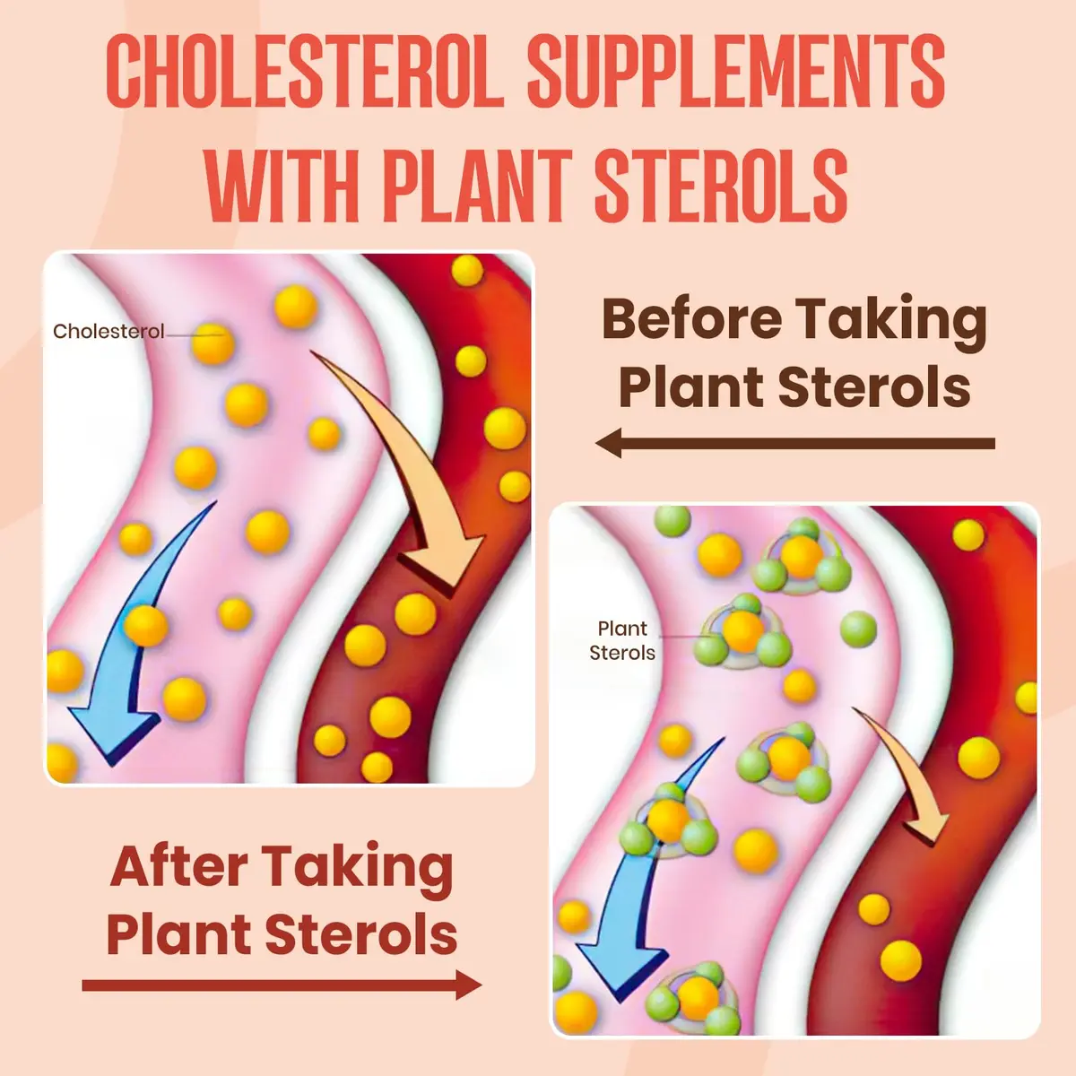 Glorithiventa Cholesterol Supplement with Plant Sterols & Stanols, Mixed Berry Flavor, 180 Counts | Vegan & Allergen-Free - view 4