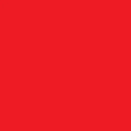 Suspension Dudes Red Door Stop Wedge Heavy Duty Rubber for Carpet & Tile | USA-Sourced Premium Quality - main product image