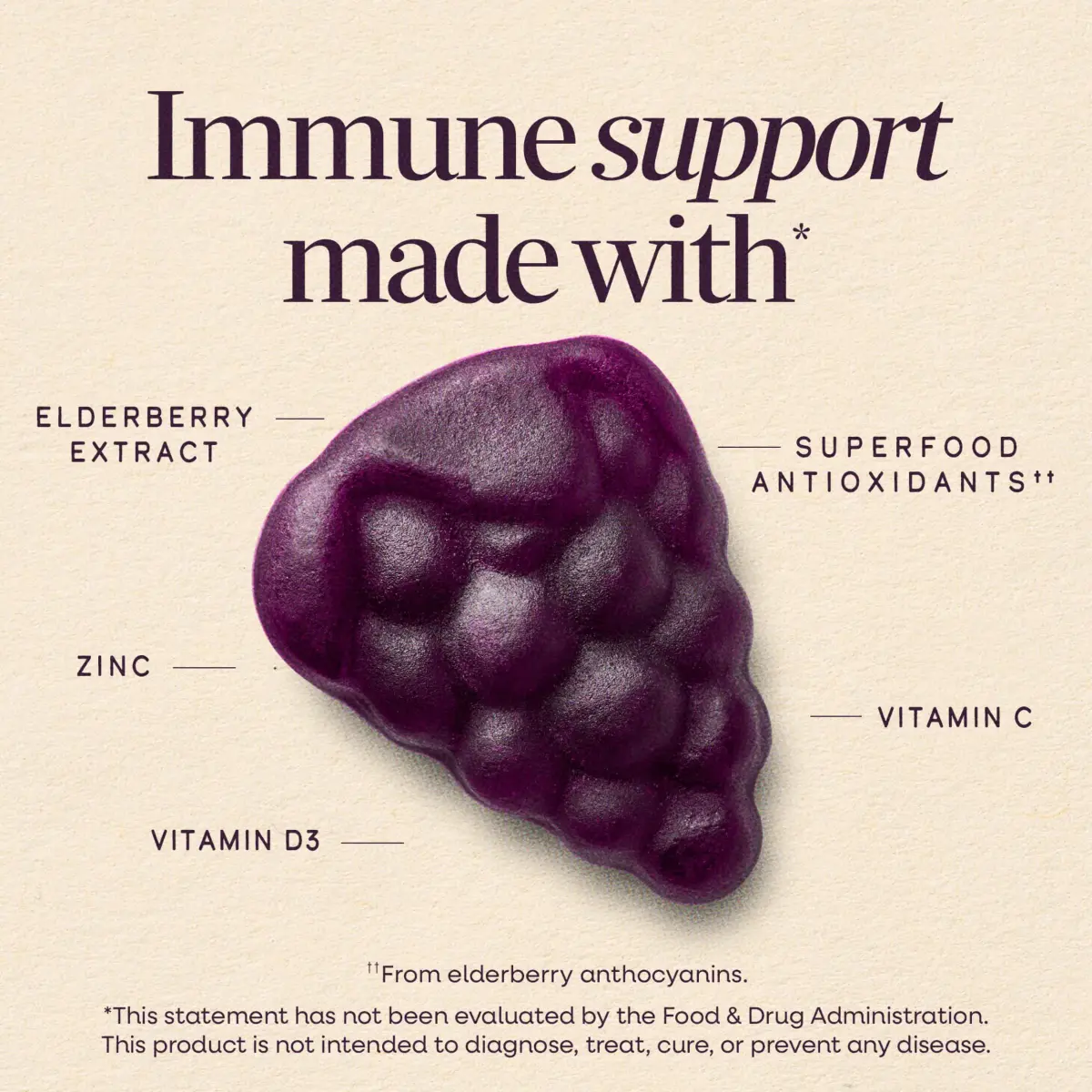 Nature's Way Sambucus Elderberry Gummies for Immune Support, 60 Gummies - view 2