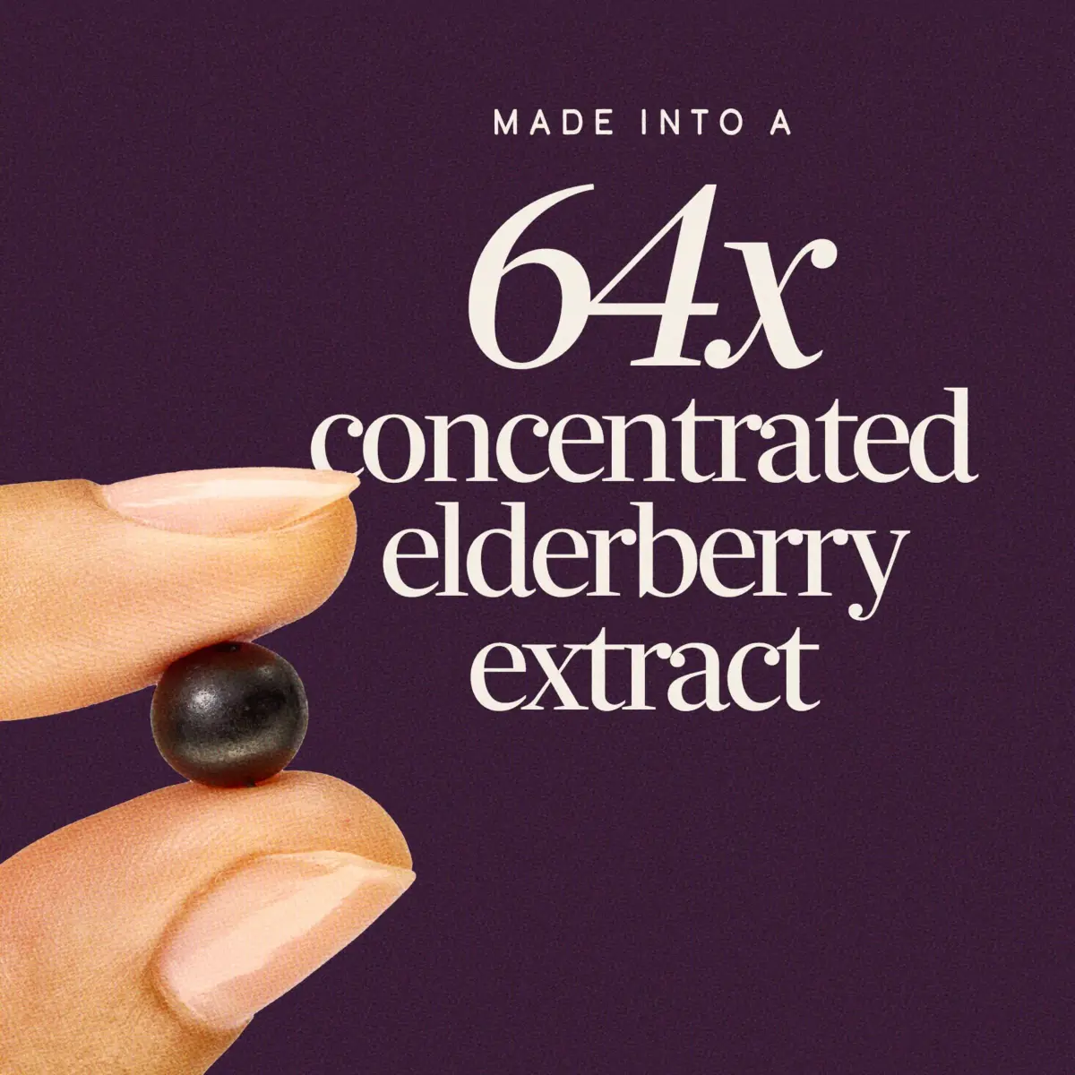 Nature's Way Sambucus Elderberry Gummies for Immune Support, 60 Gummies - view 3