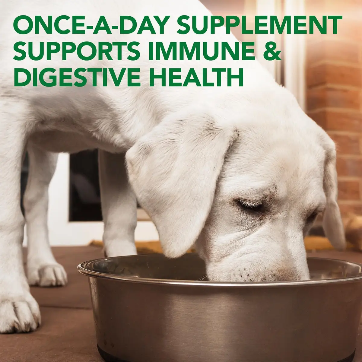 Vet’s Best Probiotic Soft Chews for Dogs 180 Count | Supports Digestive & Immune Health - view 4