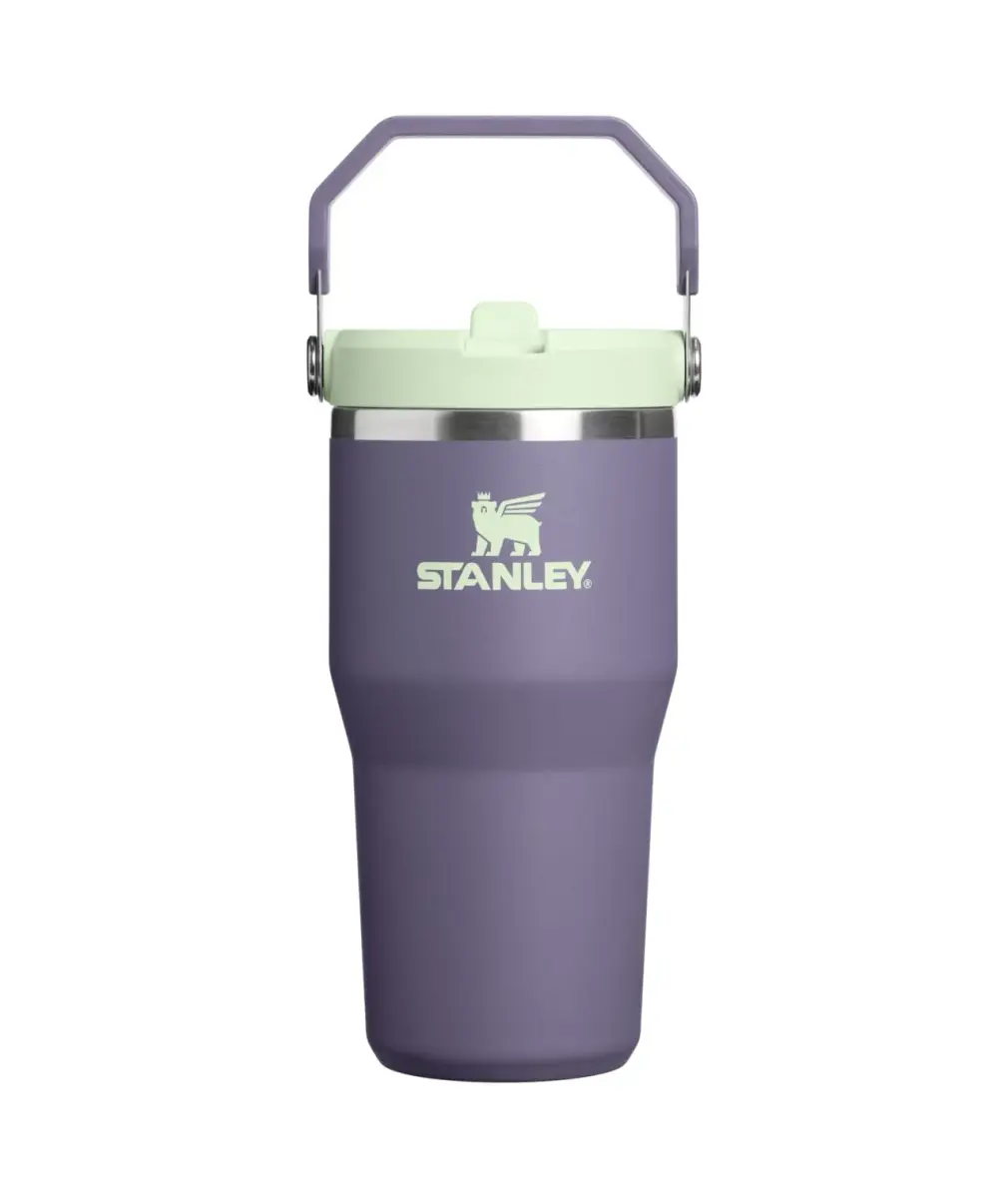 STANLEY IceFlow 2.0 Flip Straw Tumbler with Handle 20 oz (591 mL) | Insulated Stainless Steel, Leakproof, BPA-Free - main product image