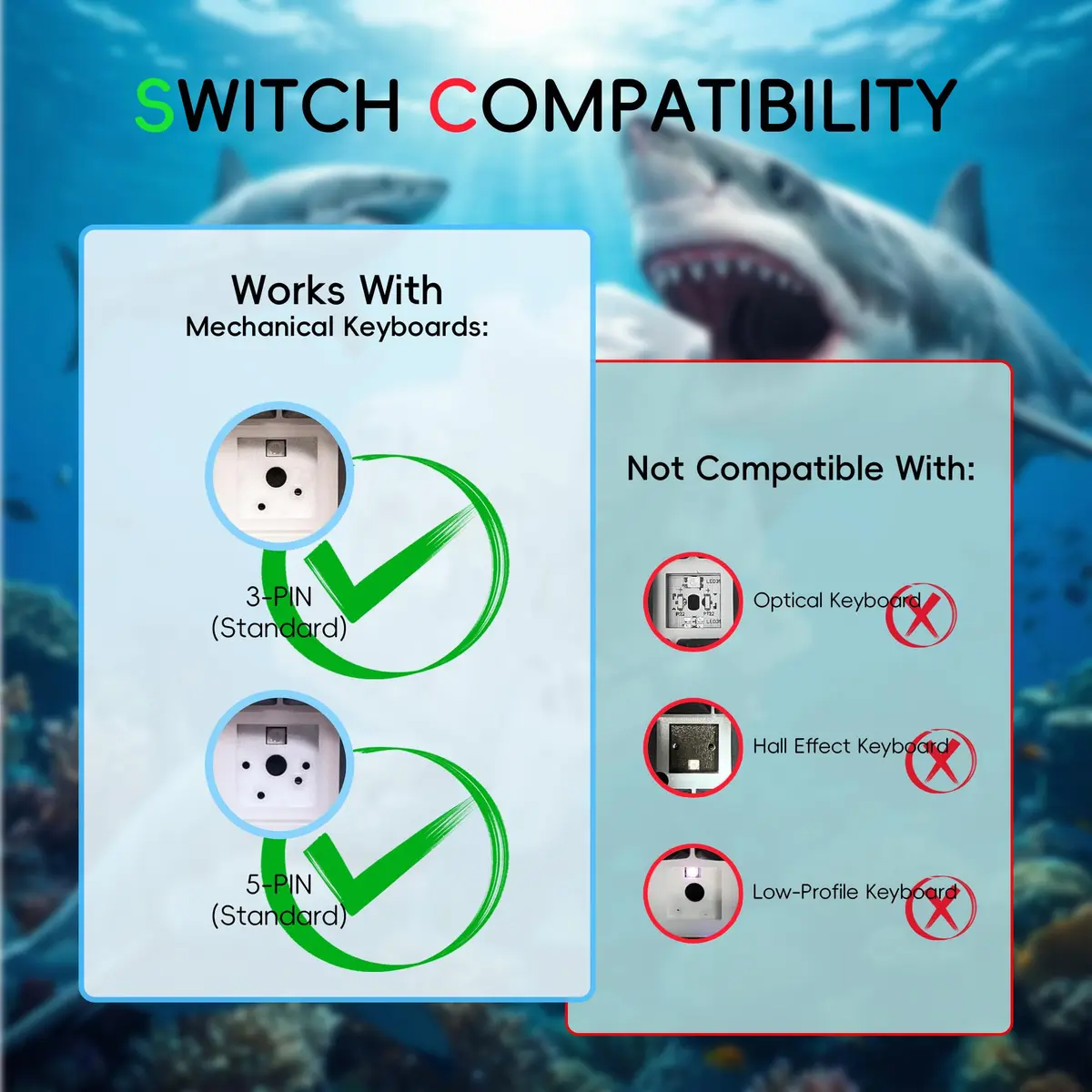 Mciepny Zhouwang 30pcs Keyboard Switches | Clicky, Durable, Compatible with Most Keycaps - view 6
