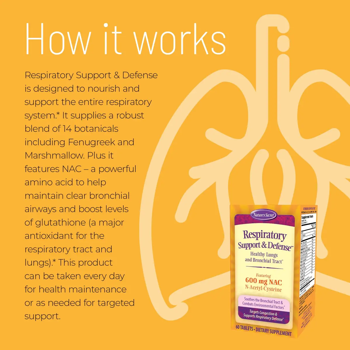 Nature's Secret Respiratory Support & Defense + NAC 90 Count (Pack of 2) | Supports Lung & Bronchial Wellness - view 5