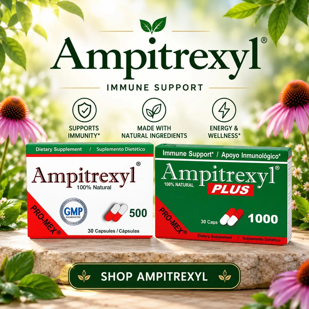 Ampitrexyl Plus Antioxidant Capsules 1000 mg | Immune Support & Wellness (70-120 chars) - view 5
