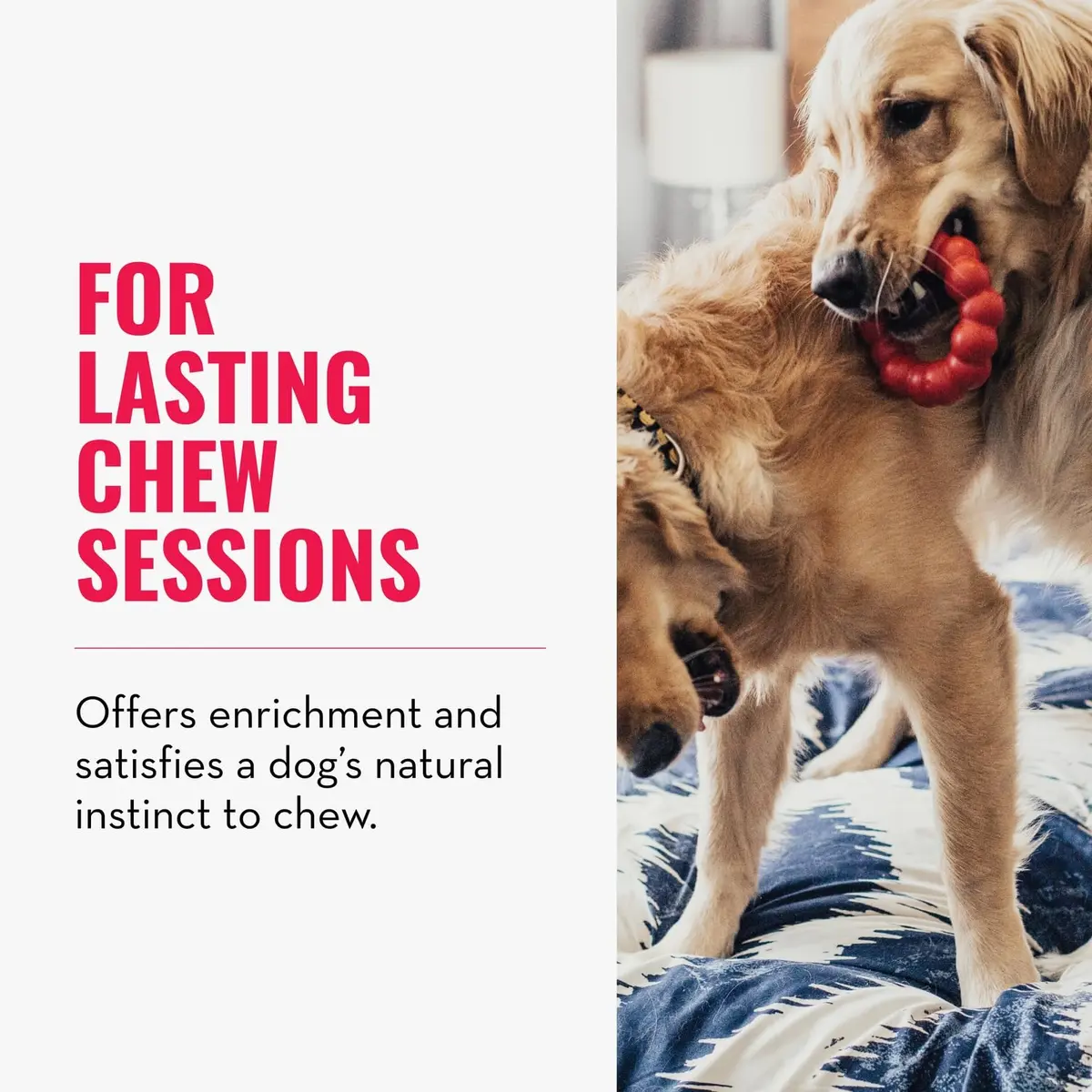 KONG Ring - Natural Rubber Chew Toy for Medium/Large Dogs | Supports Dental & Instincts - view 2