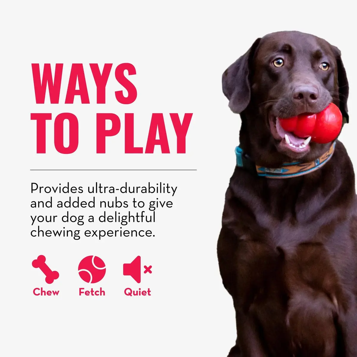 KONG Ring - Natural Rubber Chew Toy for Medium/Large Dogs | Supports Dental & Instincts - view 4