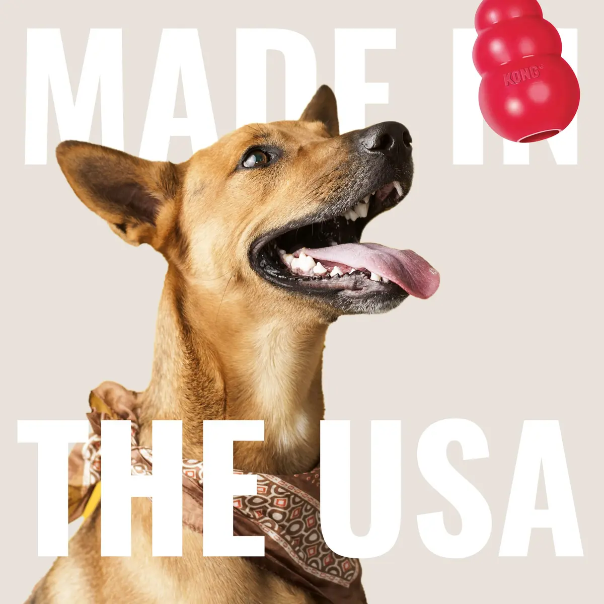 KONG Goodie Bone Classic Durable Natural Rubber Dog Bone 2-Pack | Supports Mental Engagement & Treat Dispensing - view 5
