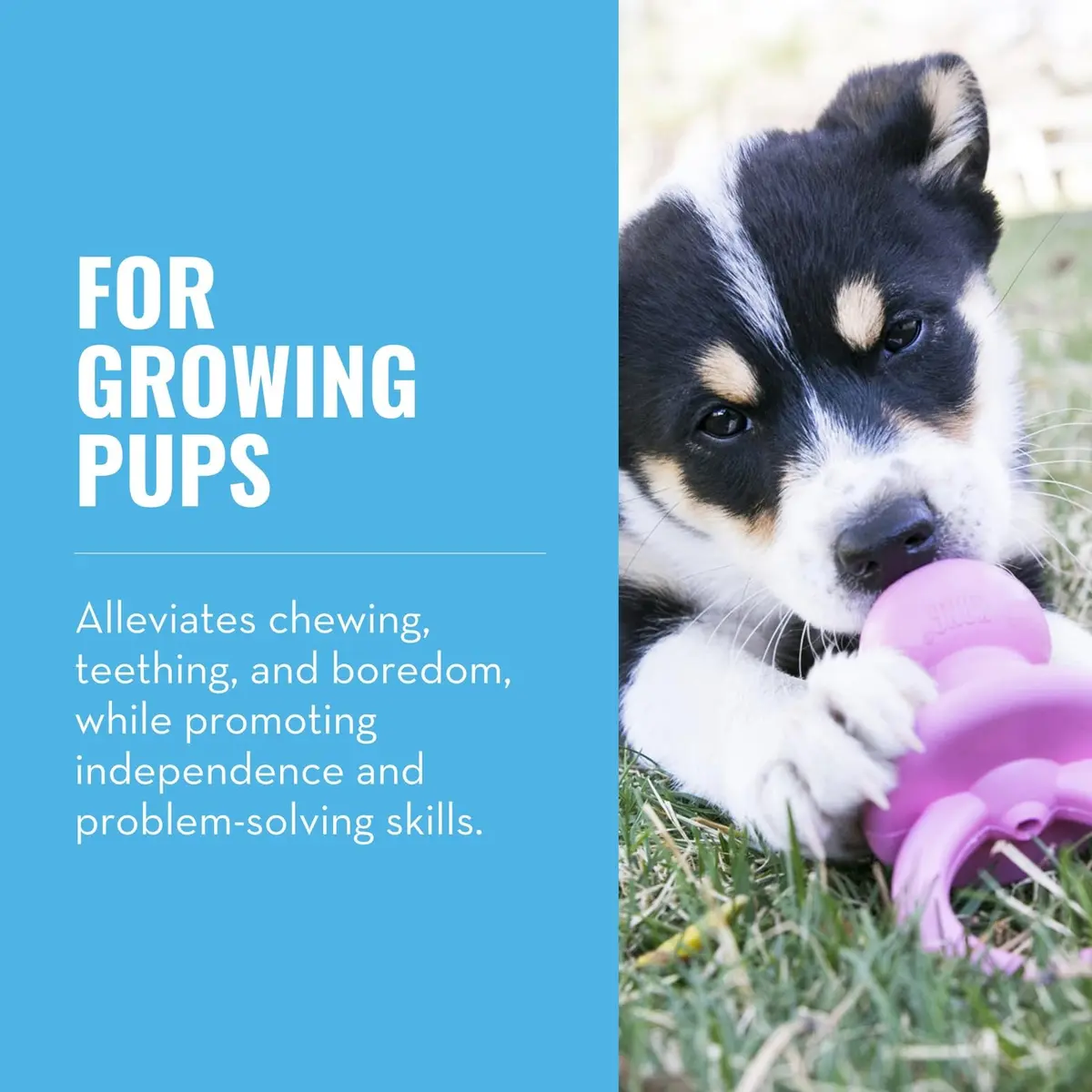 KONG Puppy Binkie - Pacifier Dog Toy for Puppies | Soft Natural Rubber for Teething & Boredom Relief - view 2