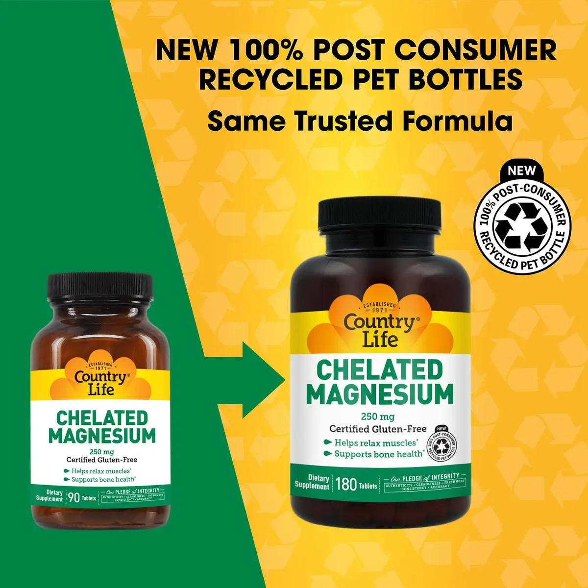 Country Life Chelated Magnesium 250mg 180 Count (Pack of 2) | Supports Heart, Bone & Muscle Health - view 2