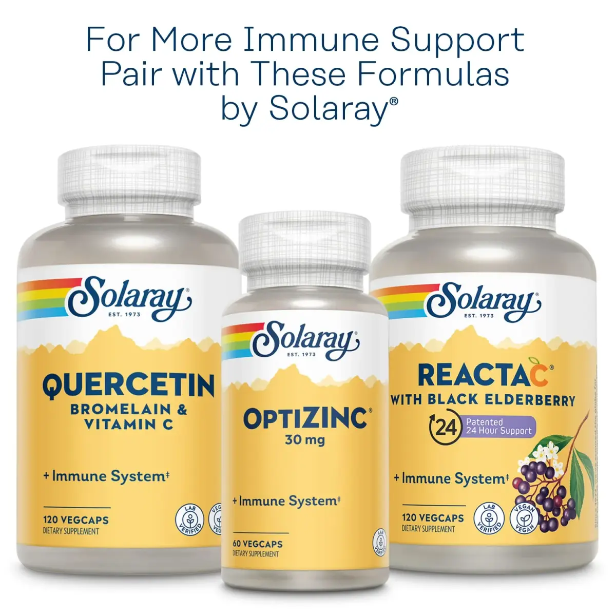 SOLARAY L-Lysine Monolaurin Immune Support Supplement 500 mg Each, 180 VegCaps (Pack of 3) | Immune System Support - view 6