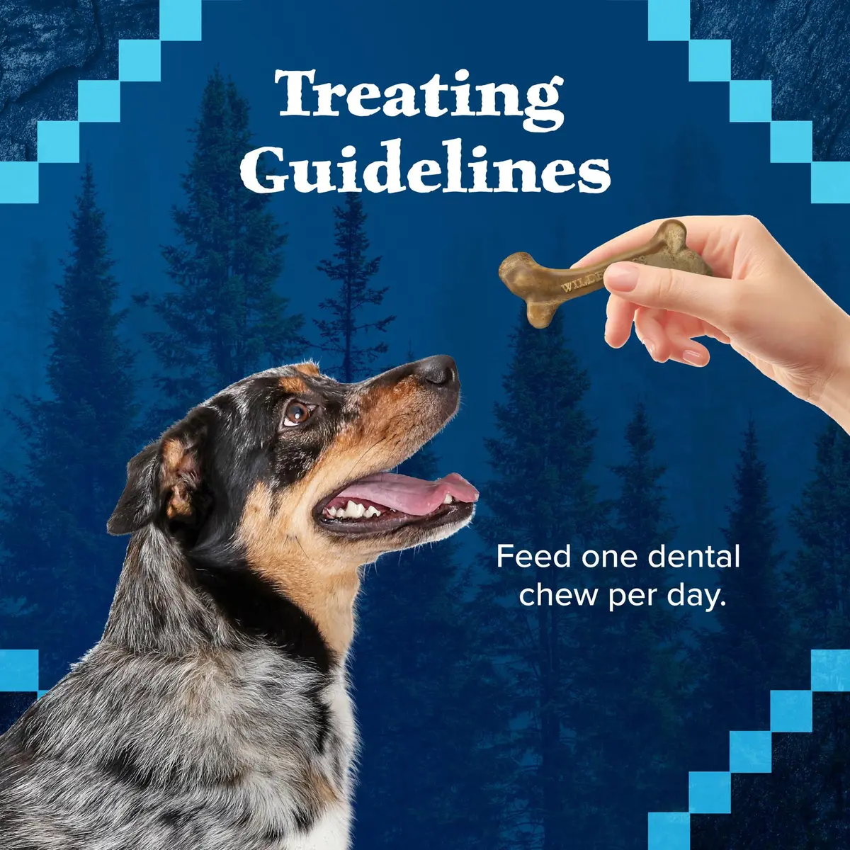 Blue Buffalo Wilderness Small Dog Dental Chews 1.69 Pound | Grain-Free, Fresh Breath, Plaque Control - view 8