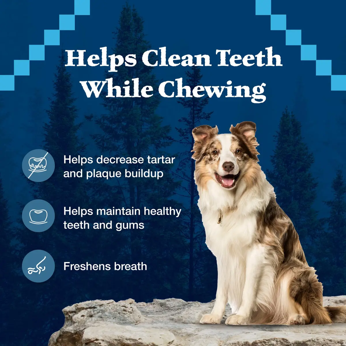 Blue Buffalo Wilderness Small Dog Dental Chews 1.69 Pound | Grain-Free, Fresh Breath, Plaque Control - view 4