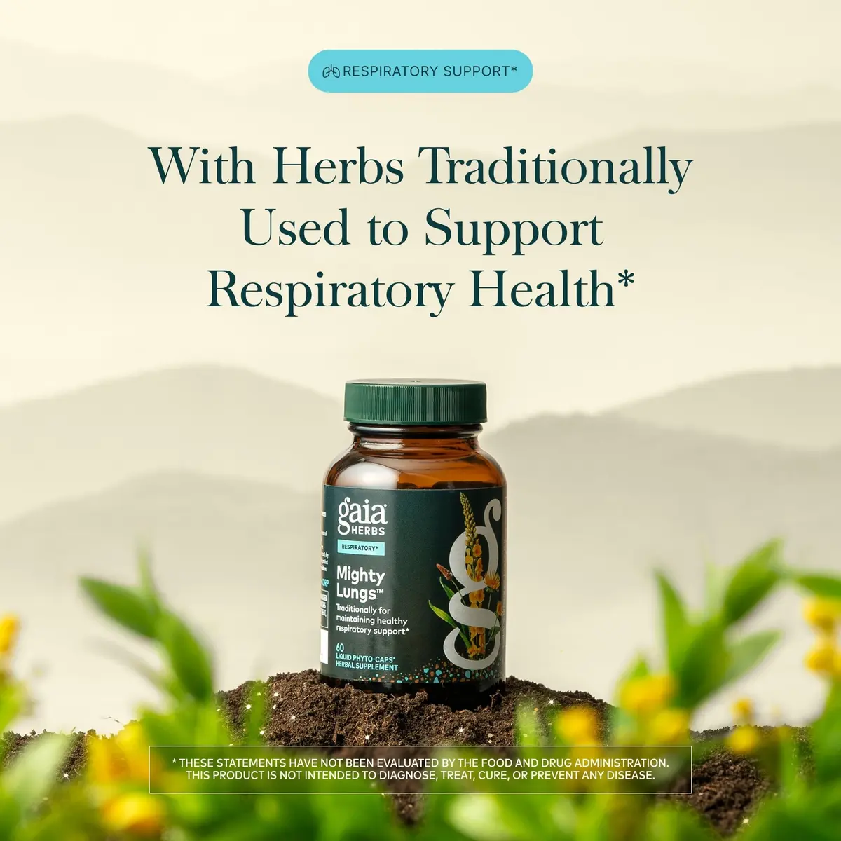 Gaia Herbs Mighty Lungs Vegan Liquid Phyto-Caps 60 Count (Pack of 2) | Respiratory Support Supplement with Herbs Traditionally Used to Help Maintain Respiratory Health - view 3