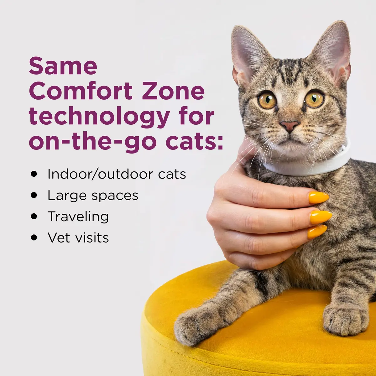 Comfort Zone Cat Calming Collar Savings Pack: 12 Collars | Drug-Free Anxiety Relief for Cats - view 3