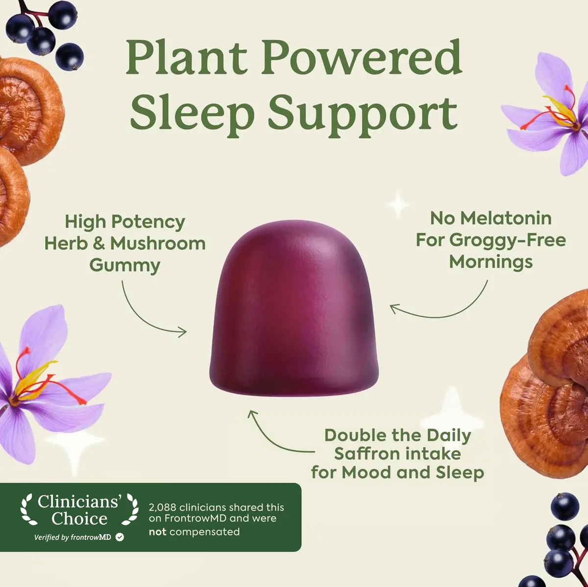 Plant People WonderSleep - 2 Pack | Melatonin-Free Mushroom & Herbal Gummies for Rest - view 2