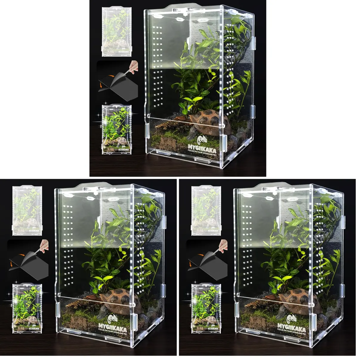 MYGIIKAKA Acrylic Jumping Spider Habitat, Insect Terrarium, Bug Enclosure, Praying Mantis Habitat, Frog Enclosure (Pack of 3) - main product image