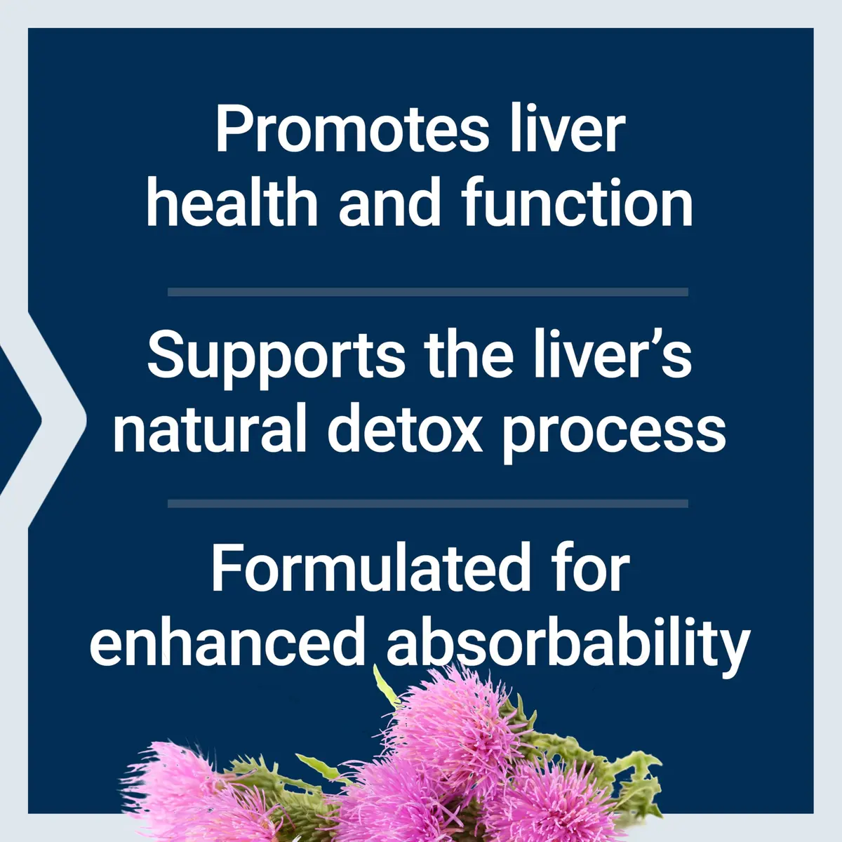 Life Extension Advanced Milk Thistle Silymarin Softgels 120 Count (Pack of 12) | Liver Health & Detox Support - view 3