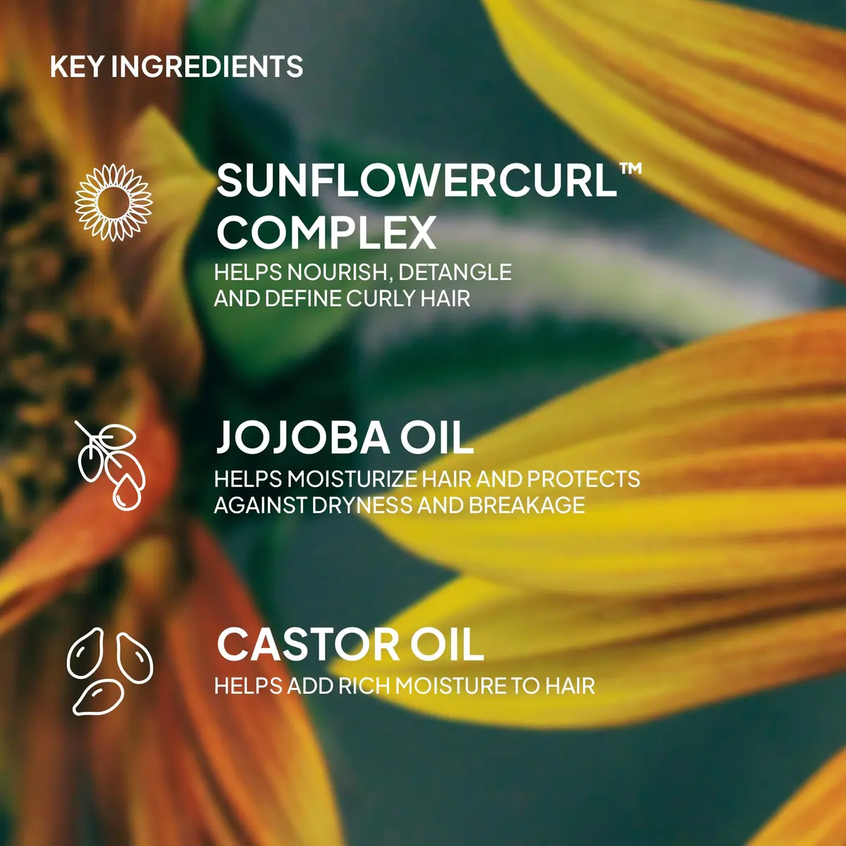 VERB Curl Routine Bundle: Cleanse + Moisturize + Frizz-Free Definition | Nourishing, Curl-Enhancing, All-Day Frizz Control - view 9