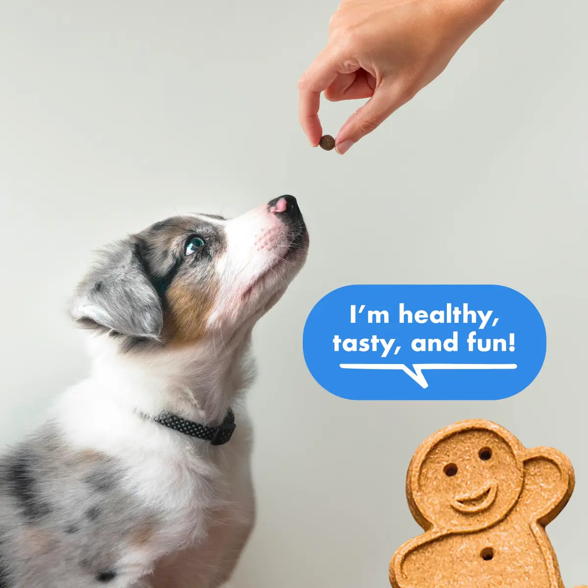 Buddy Biscuits Training Bites Bacon | Soft Chewy Dog Treats, 10 oz (Pack of 12) - view 3